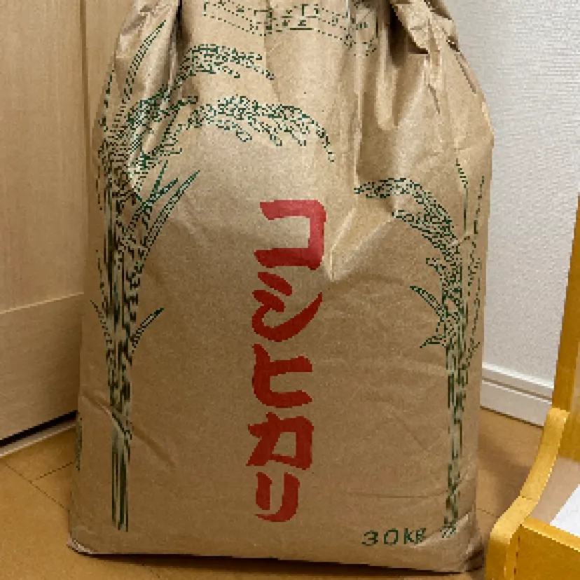 GOM