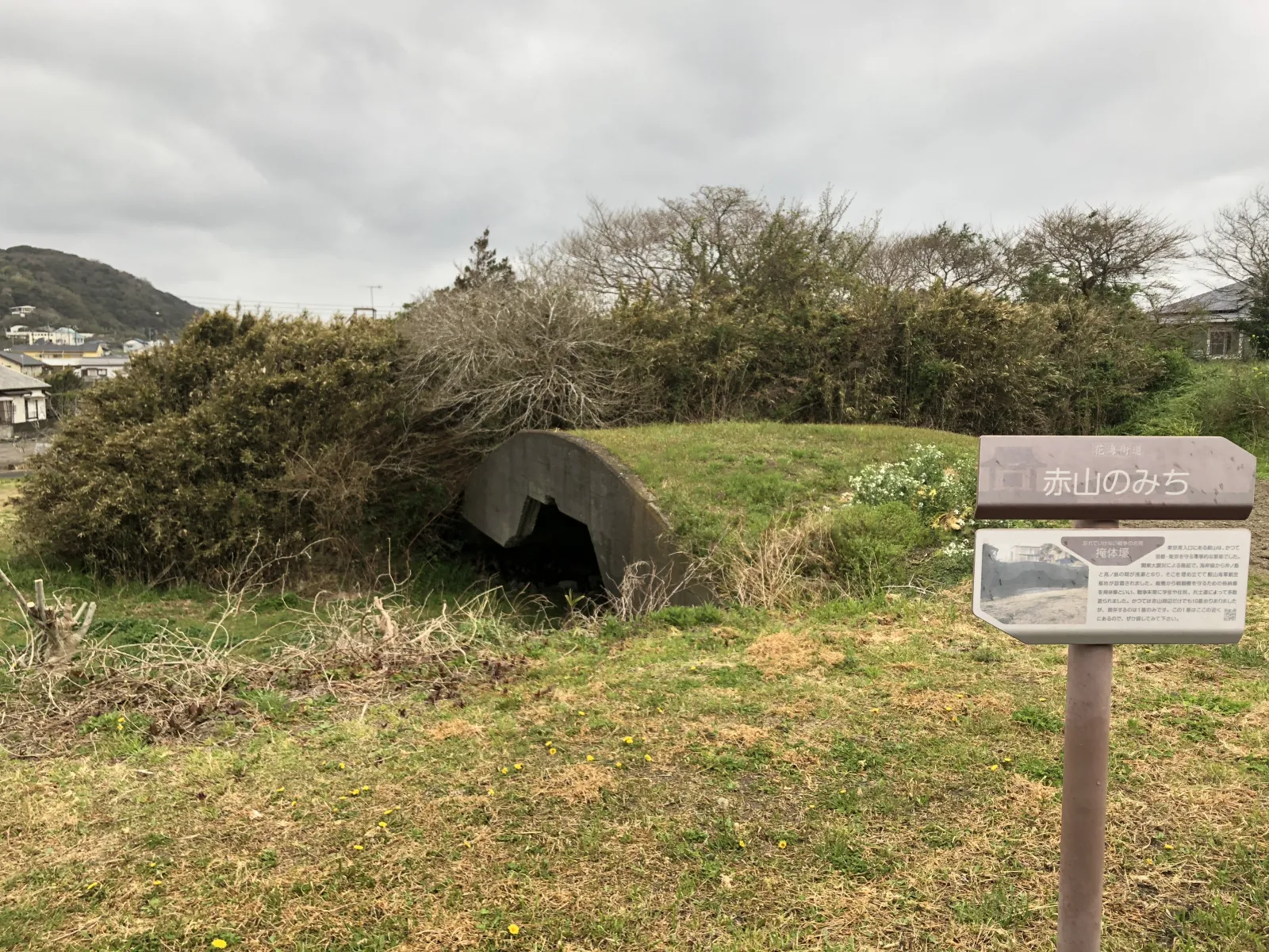そのテラス席の前には、館山海軍航空隊の戦争遺跡である
掩体壕（えんたいごう）という軍用機の防空壕があり、予想外にちょっとした観光ができました