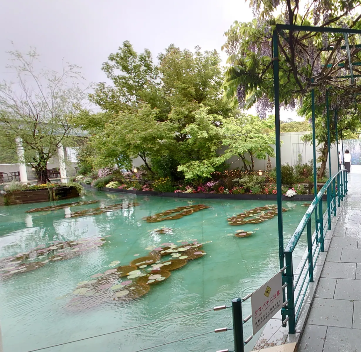 敷地内にあるモネの池風庭園
睡蓮は咲いておらず・・・