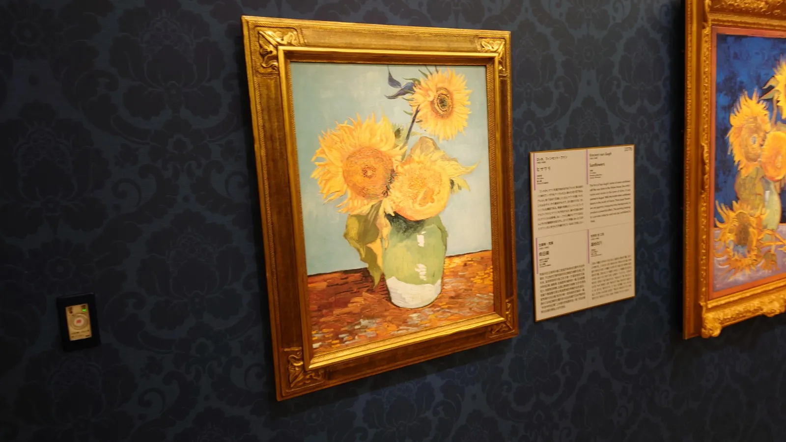 ゴッホの7つのヒマワリが一堂に展示されていた
右に切れているのは戦時中に芦屋で焼失したものらしい