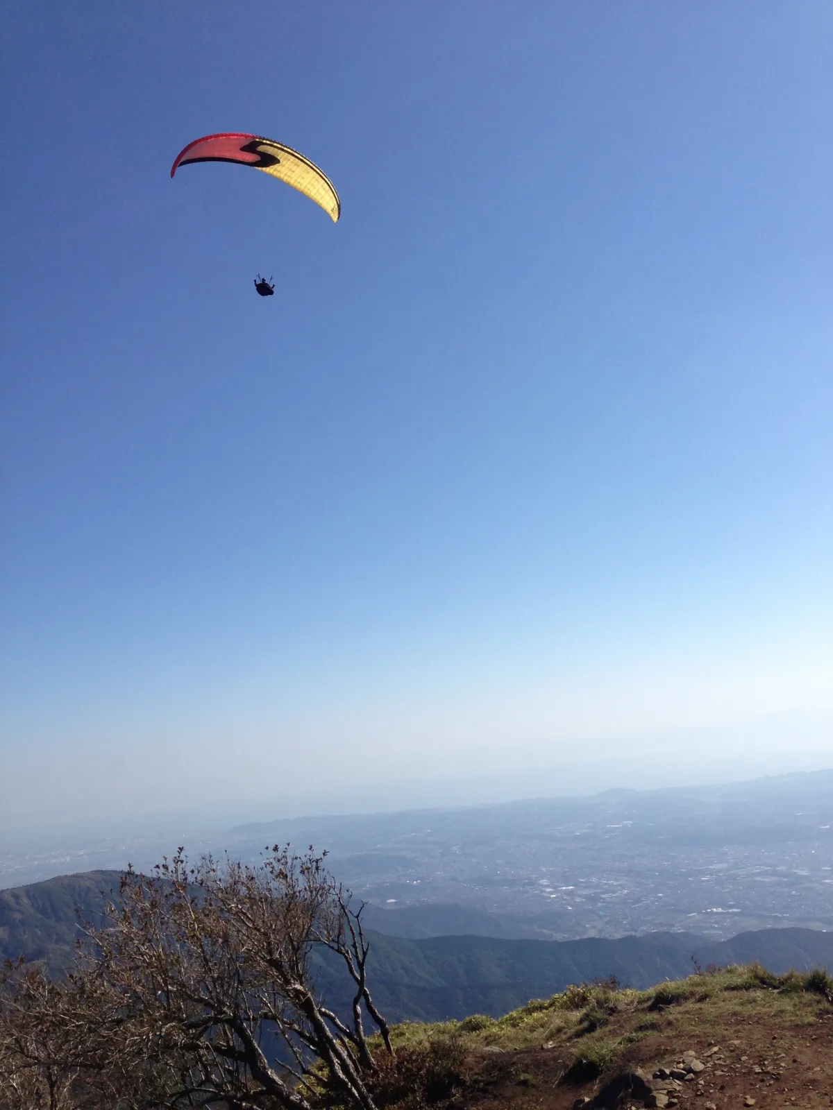 I can fly.(嘘)