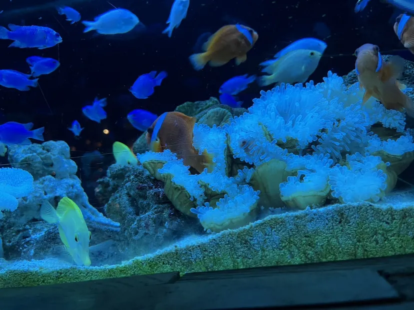 小休止のつもりが。。。