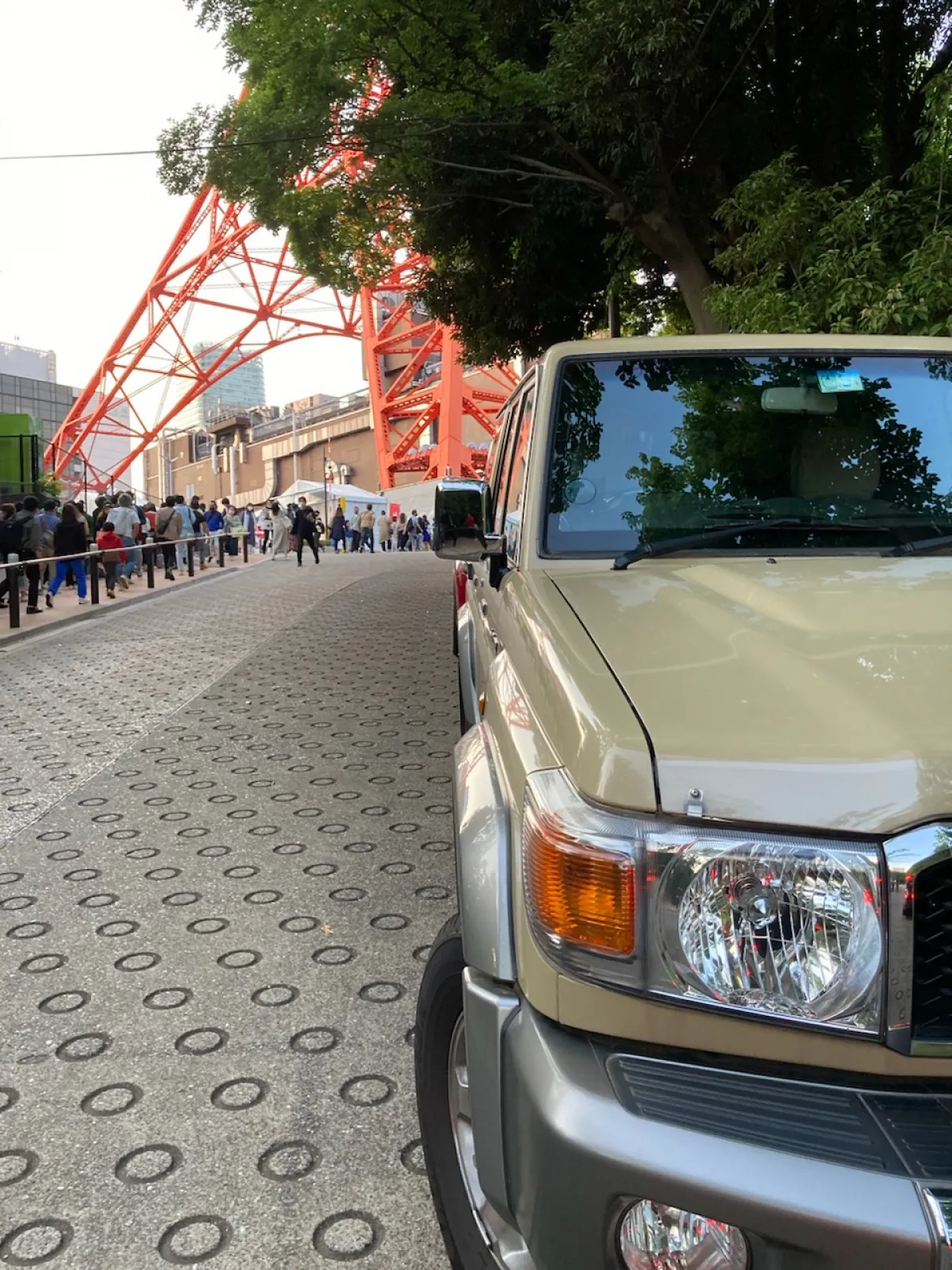 夏の思い出