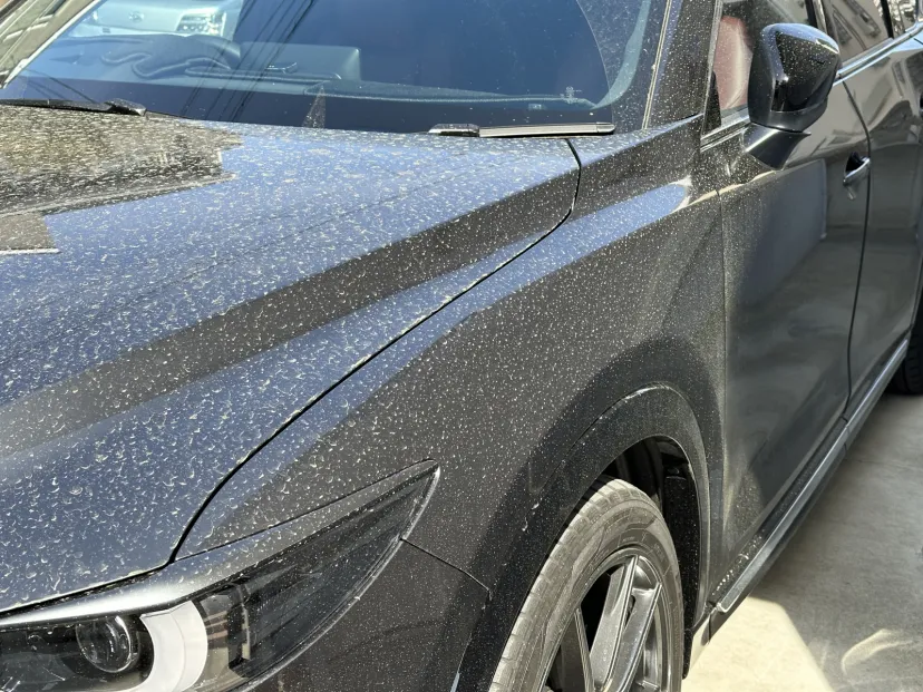 花粉が酷かった写真