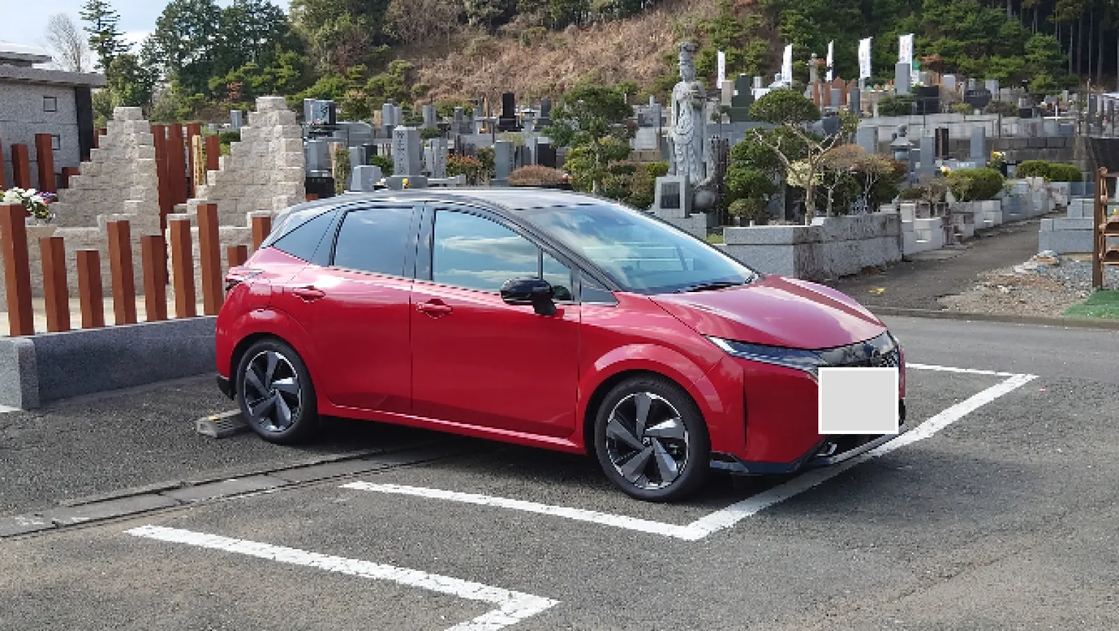 少し遅いお墓参りに行ってきました
桜が満開でした