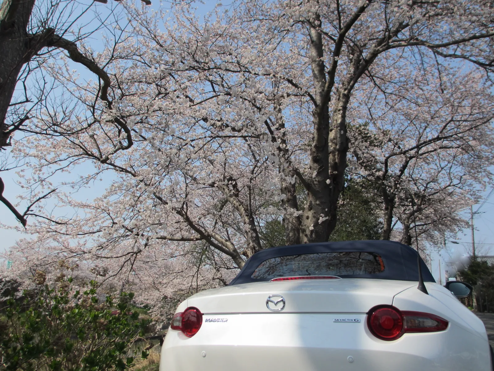 ボディカラーは車体が小さいので、安全のため目立つホワイトにしました。
存在感があっていいと思います。