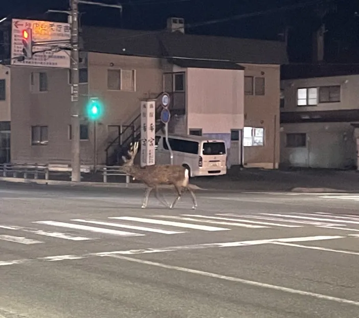 信号無視⁉️...