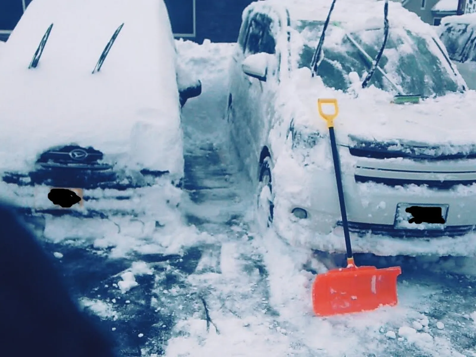 愛車ノアを雪から救った。
雪かき大変すぎる。
写真は綺麗にすかしてありますが、ノアはこんなすかさなくても余裕で発進できます(経験談)