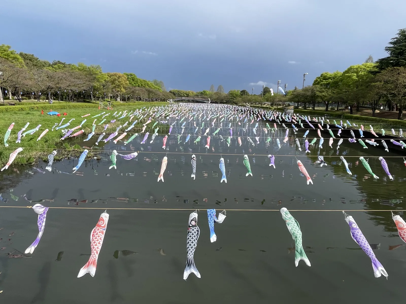 MOBILAの中のRETRIPで紹介されていた
「群馬県民が教える！群馬県の春ドライブにおすすめなスポット13選」
館林こいのぼりの里まつりに行ってきました〜
桜は終わってしまっていたけど、風の中泳ぐたくさんの鯉のぼり見ることが出来ました！
駐車場も入場料もなし✨ありがたい(⑅•ᴗ•⑅)
来年は桜が咲いている時に行きたいな〜