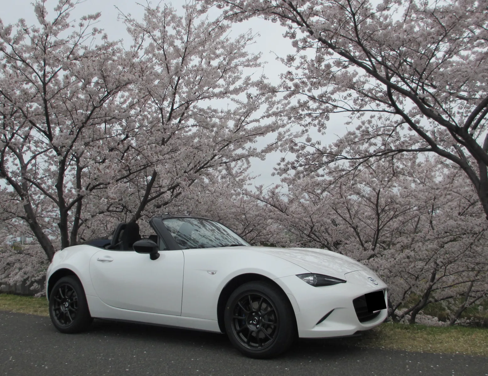 では、普通の運転とは具体的にどうするのでしょうか。
自動車ジャーナリストの国沢光宏さんのページを見つけました。

・・・といっても慣らし運転の方法は難しくない。走行500kmくらいまでの間、エンジン始動したら1分程度暖気運転し、走り出して5分くらい回転を押さえて走ればOK。その後、100kmくらい毎に、使う回転数を少しずつ上げていく。タコメーターがあるなら、500kmまでレッドゾーンの半分まで使い、100km毎に500回転づつ上げていく。

1000kmでエンジン系の慣らしは終わったと思っていいだろう。キッチリ慣らしを行ったエンジンなら、1万kmくらいから“乗り心地の向上”と同じく本来のパワーと燃費になり、オイル交換さえサービスマニュアル通りに行うことことにより、15年／20万kmくらいまで元気いっぱいに回ってくれる。変速機も20万kmくらい平気。

・・・ということなのですね。
で、自分の990Sはレッドゾーンが7,000rpmなので4,000rpmまでくらいしか廻していない(つもり)です。
しかし、暖機運転を怠っていました。失敗ですね。

これからはもっと優しくしてあげましょうね(;'∀')