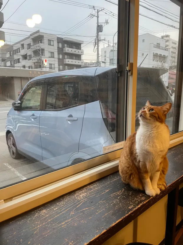 初めて🔰．．(多いよ．．😅)