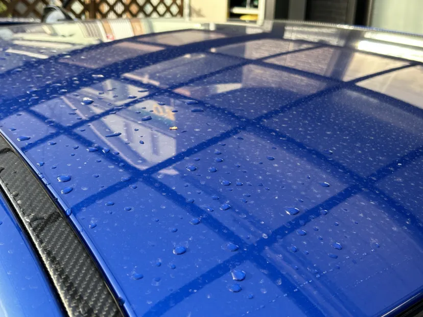 花粉・黄砂・雨のトリプルコンボ😇