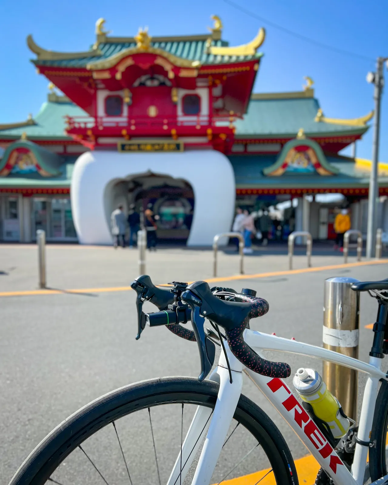 往復90キロ！頑張りました