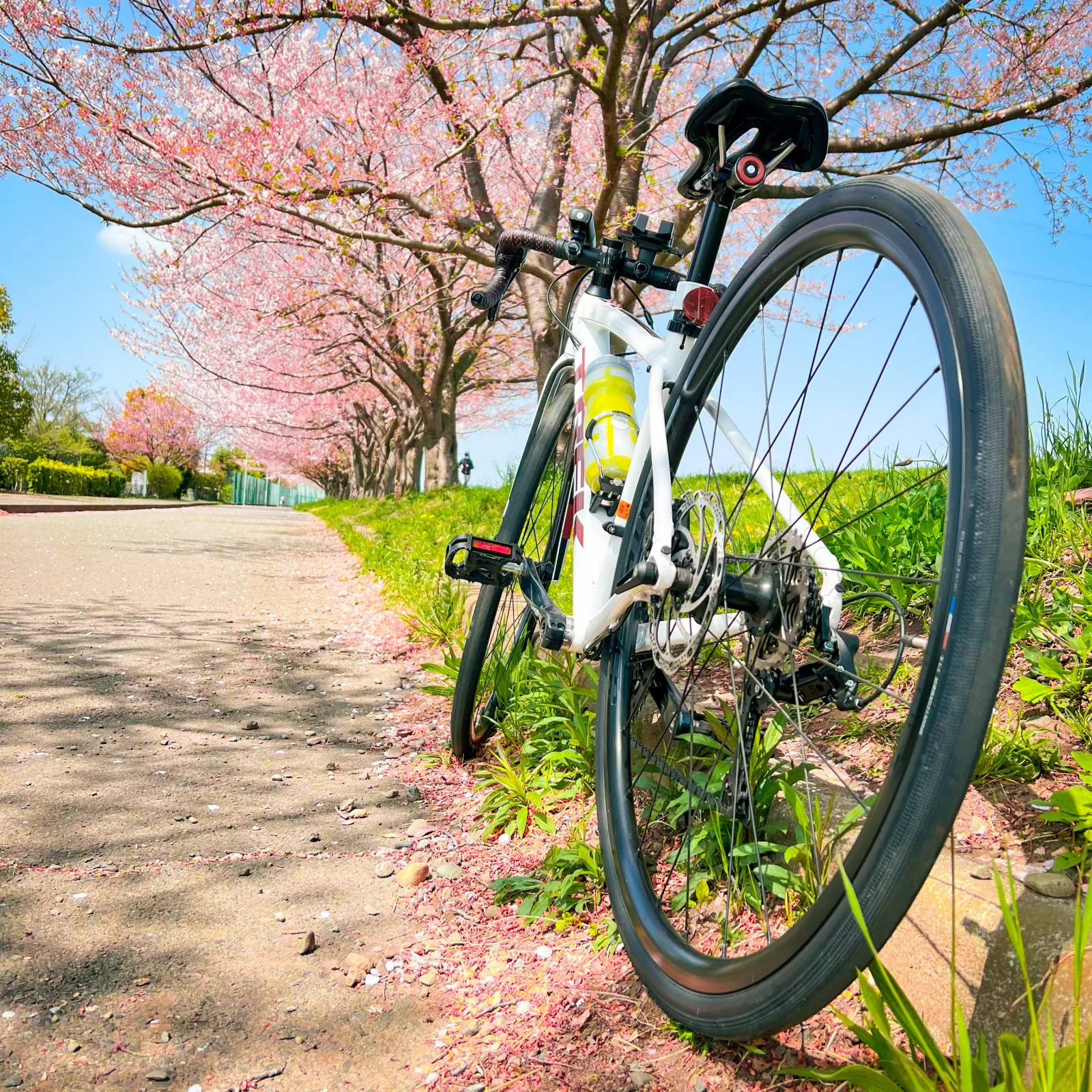 暖かい週末でしたね。
サイクリング日和！
