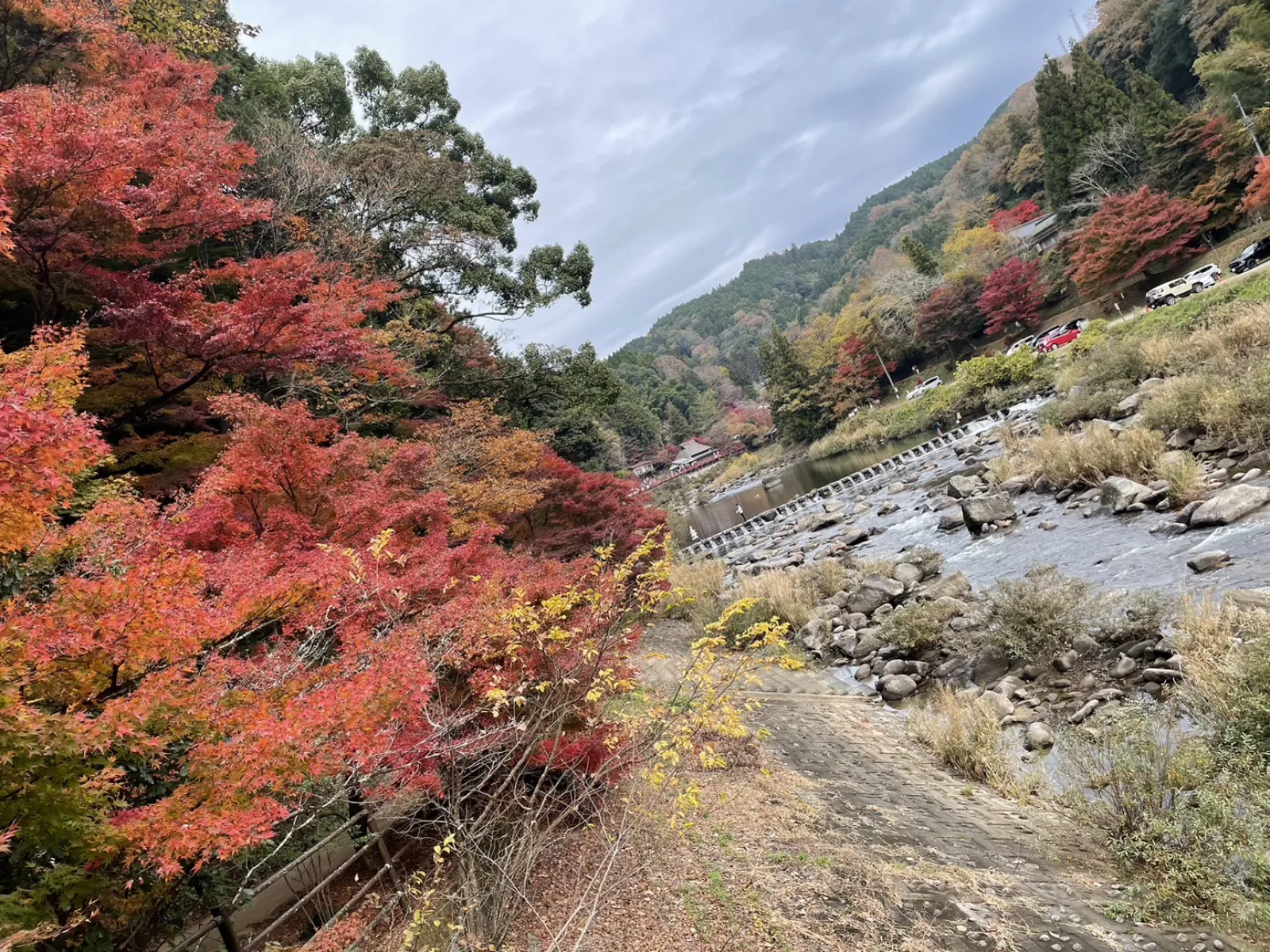 初めての香嵐渓！
めっちゃ綺麗〜✨