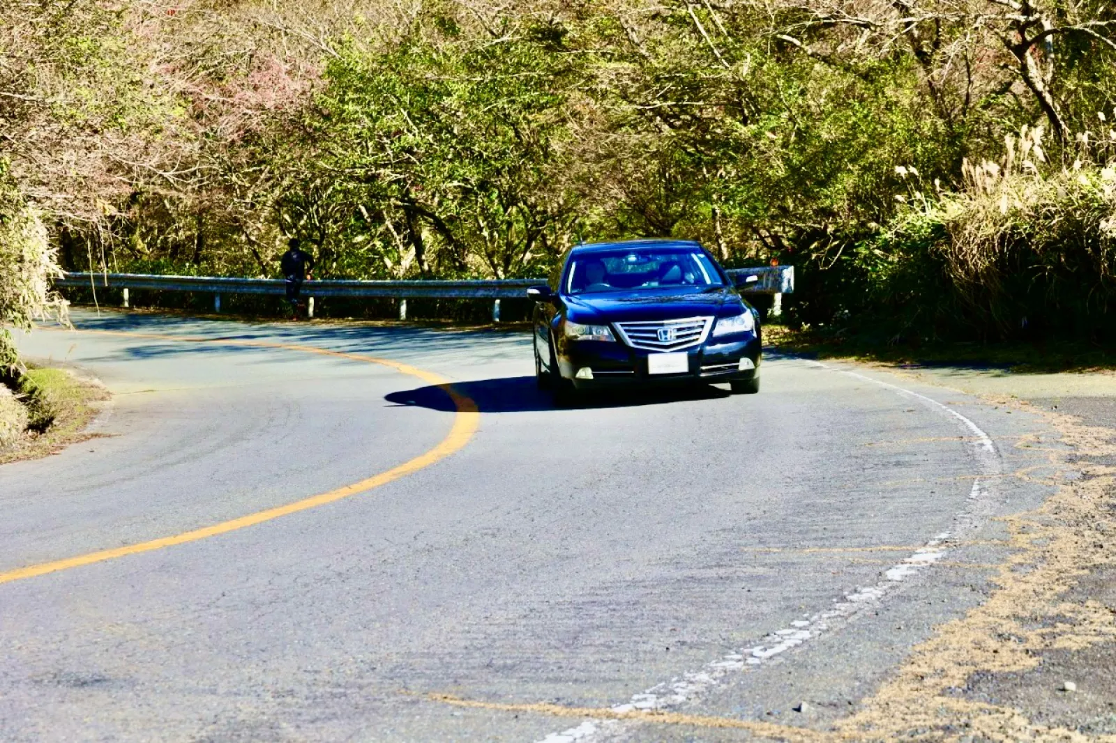 久しぶりに伊豆をドライブ。

SH-AWDが最も活きるのはこういう一般道のワインディングだなぁと、しみじみ。