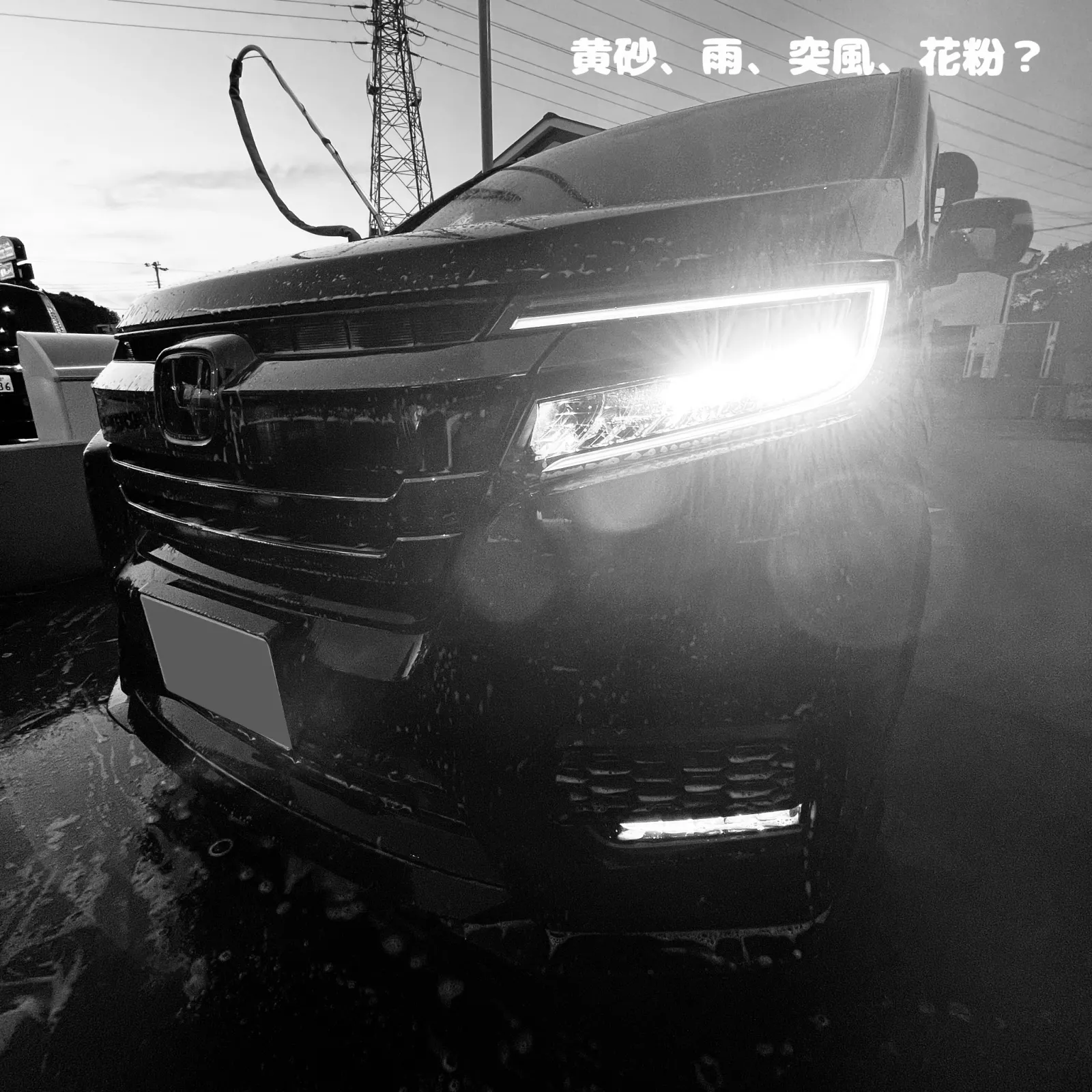 黄砂、雨、突風、花粉？で汚れすぎ、、、