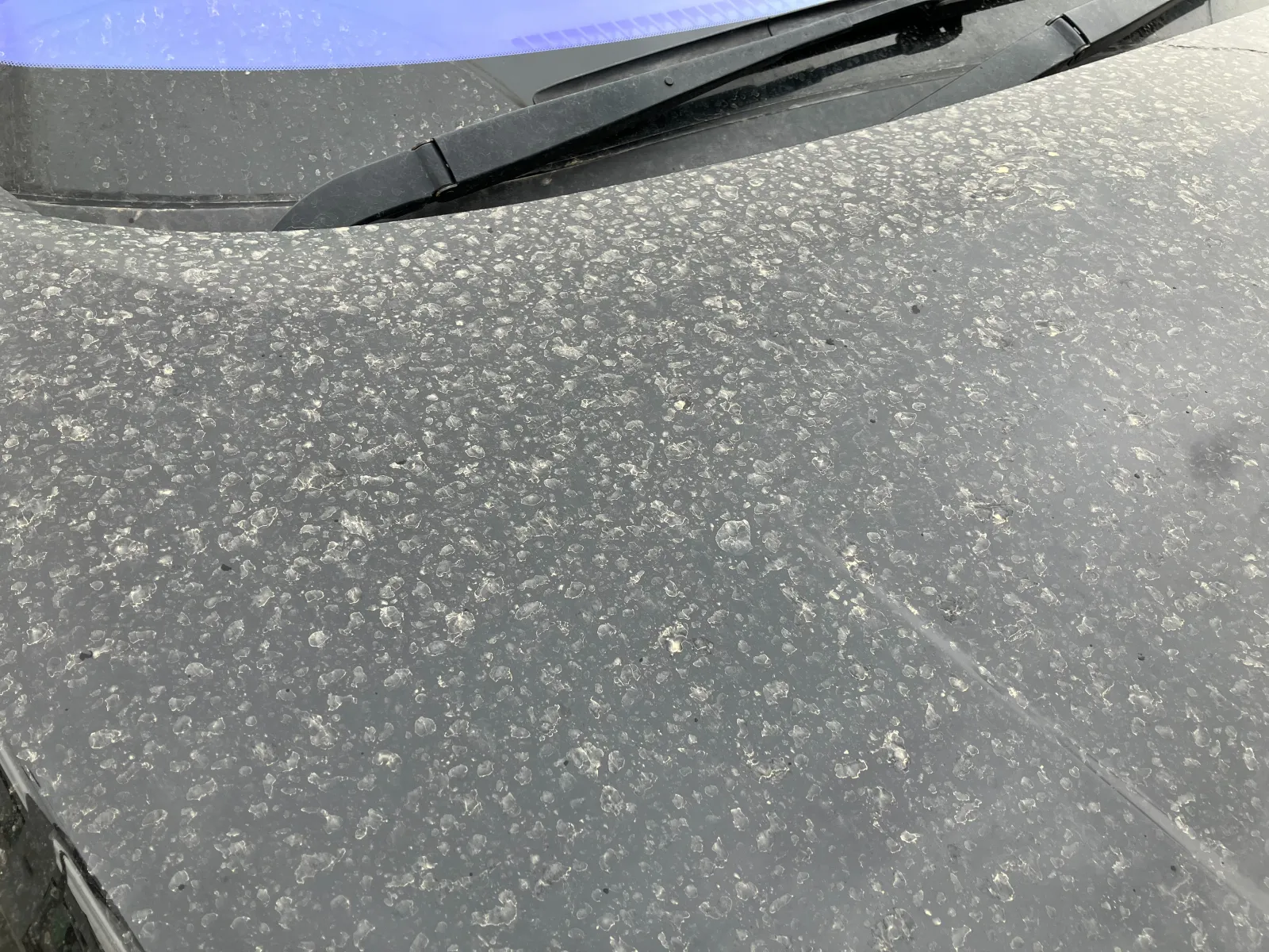 雨も降ったのでひどい状況に😭