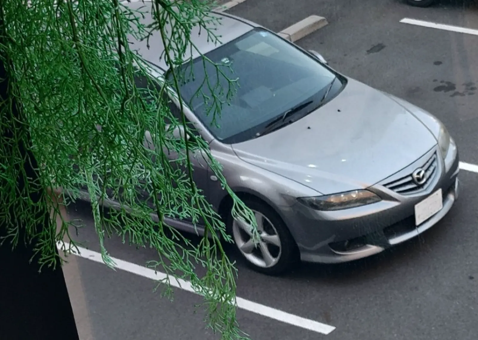 なごし