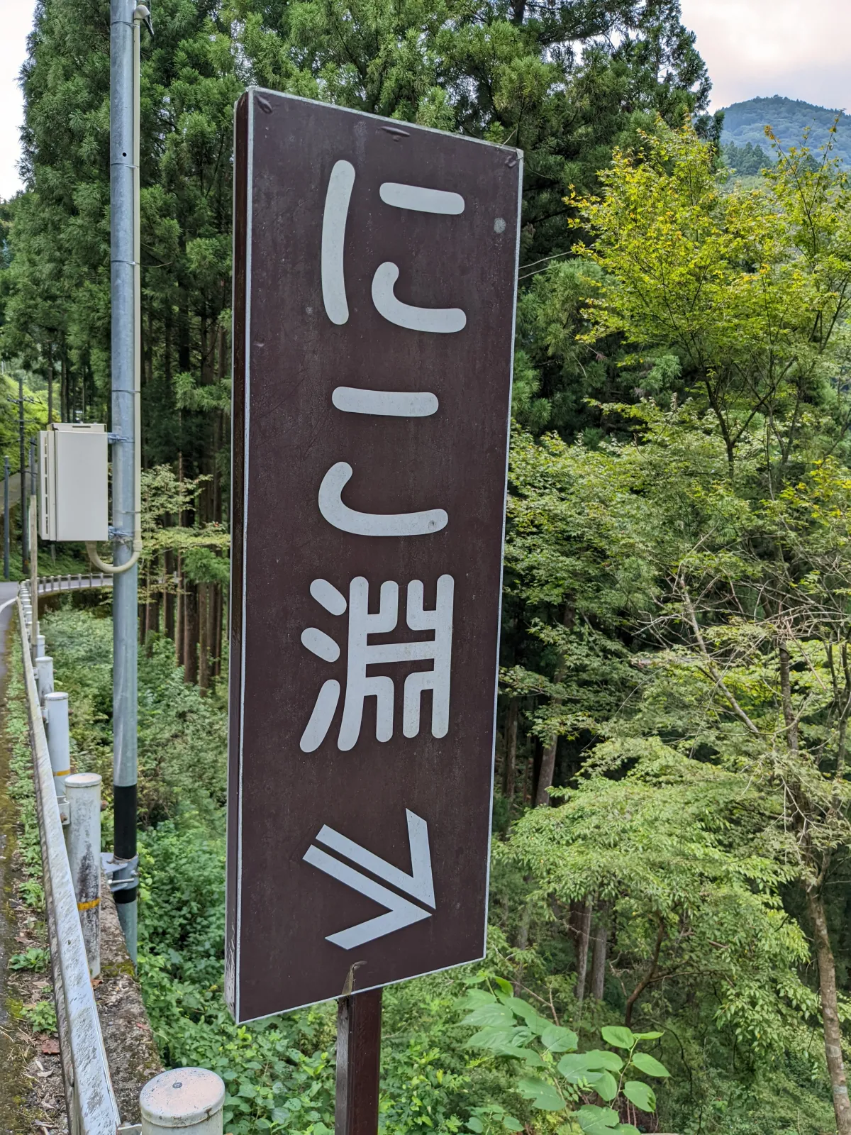 生まれ故郷を、息子とドライブするのが帰省の楽しみ。

去年の夏は、初めて『にこ淵』へ。