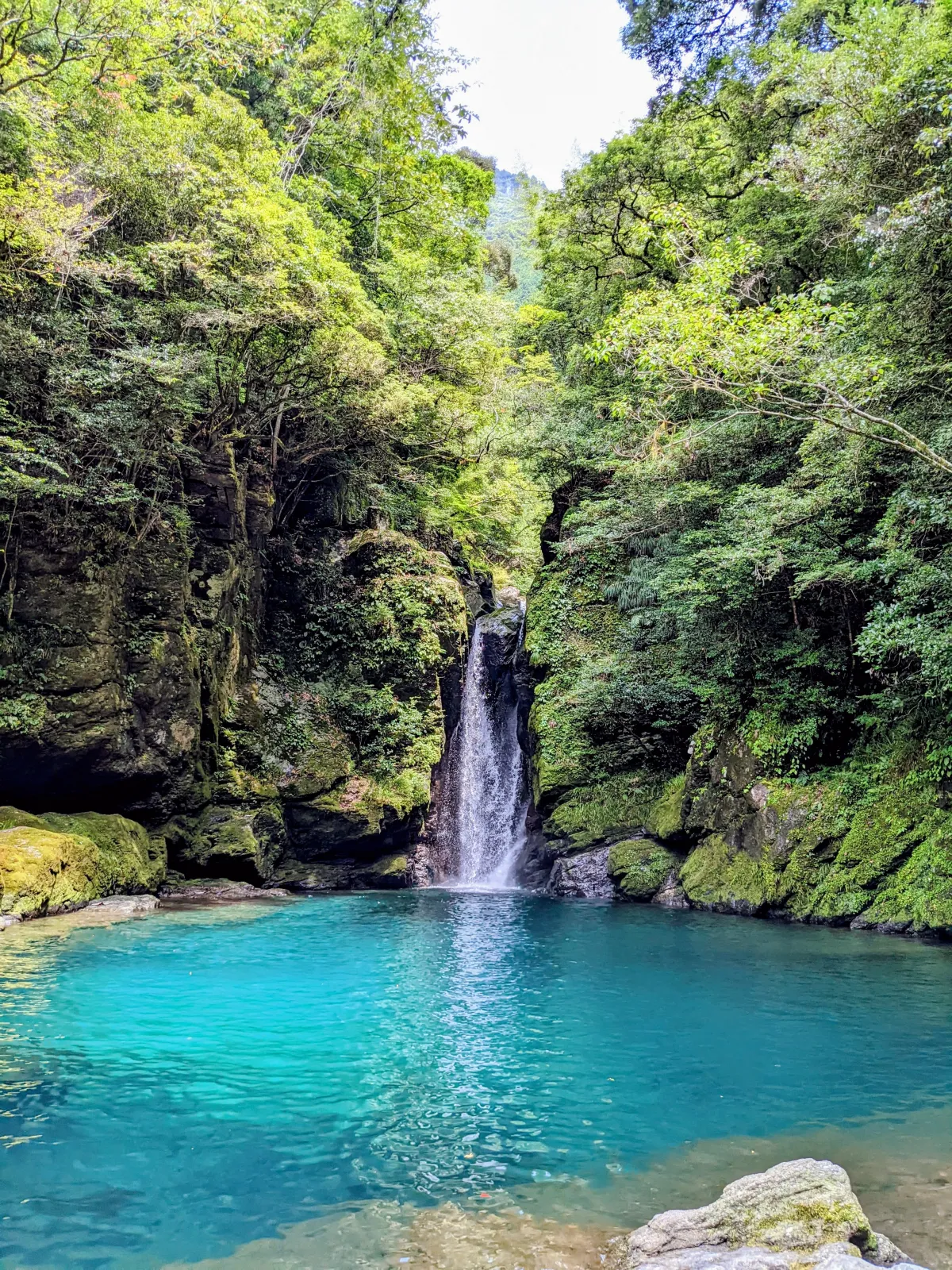 写真じゃ伝えきれないくらいの仁淀ブルー✨
夏なのに、ここだけ涼しくて最高でした！
今年も行けるといいなぁ♫