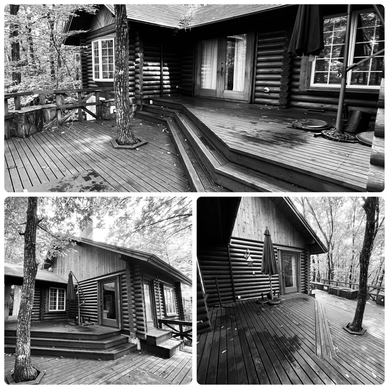 ログハウス🪵🏡サイコーですね✨