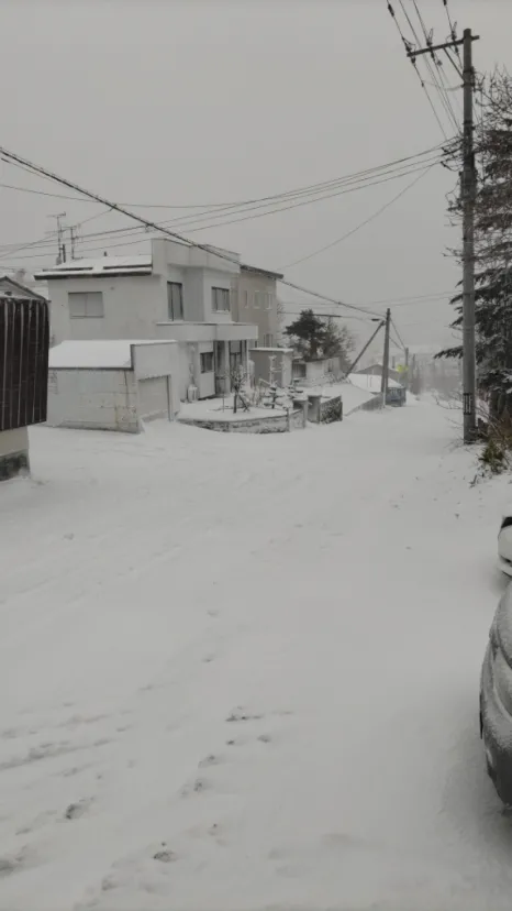 今日(4/17)の朝．．