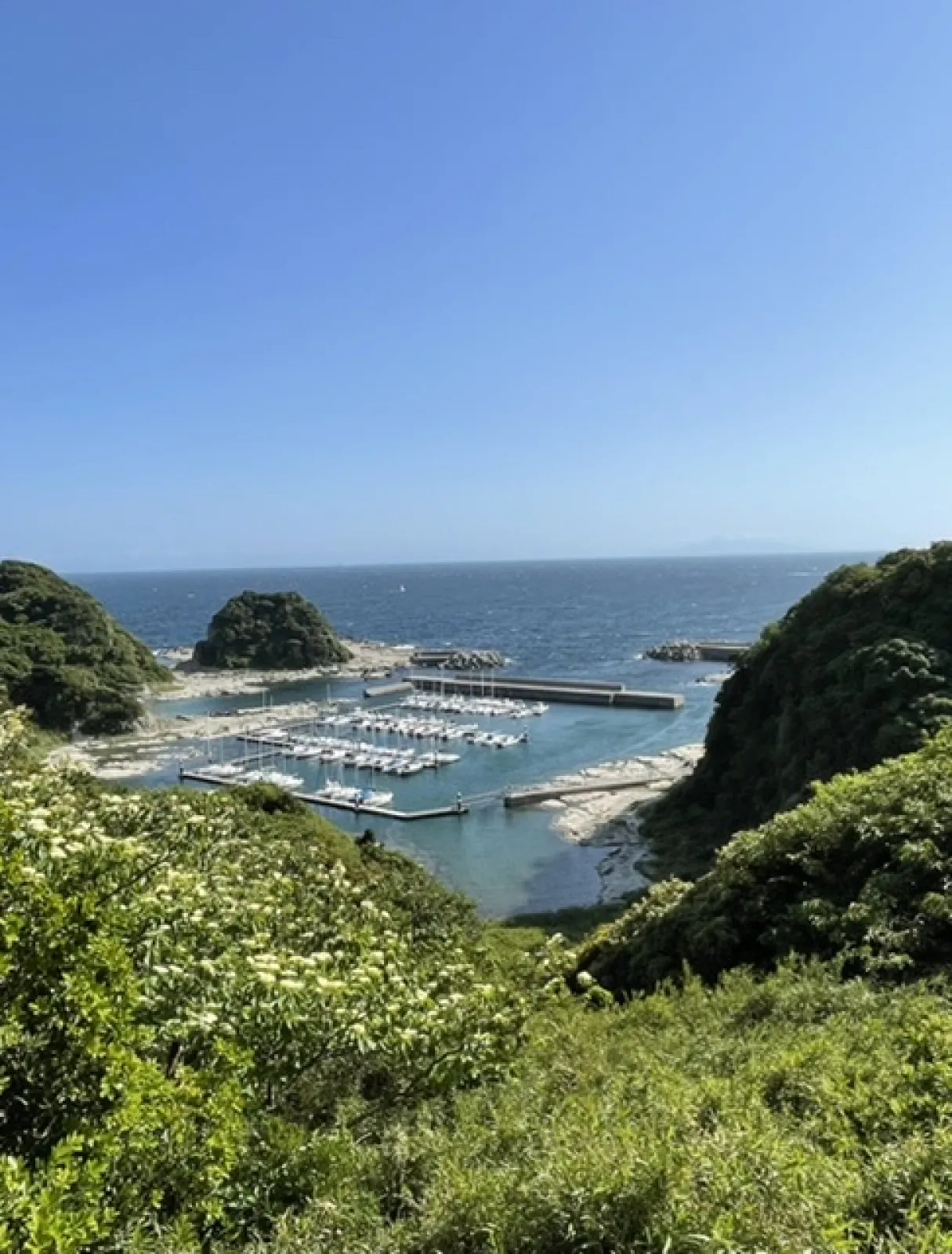 宮川公園の高台の展望台から