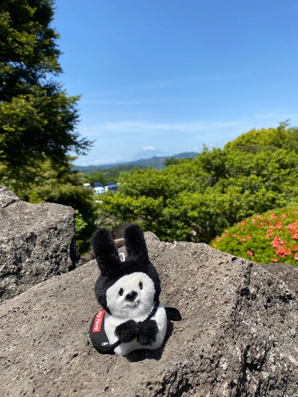 富士山が綺麗でした