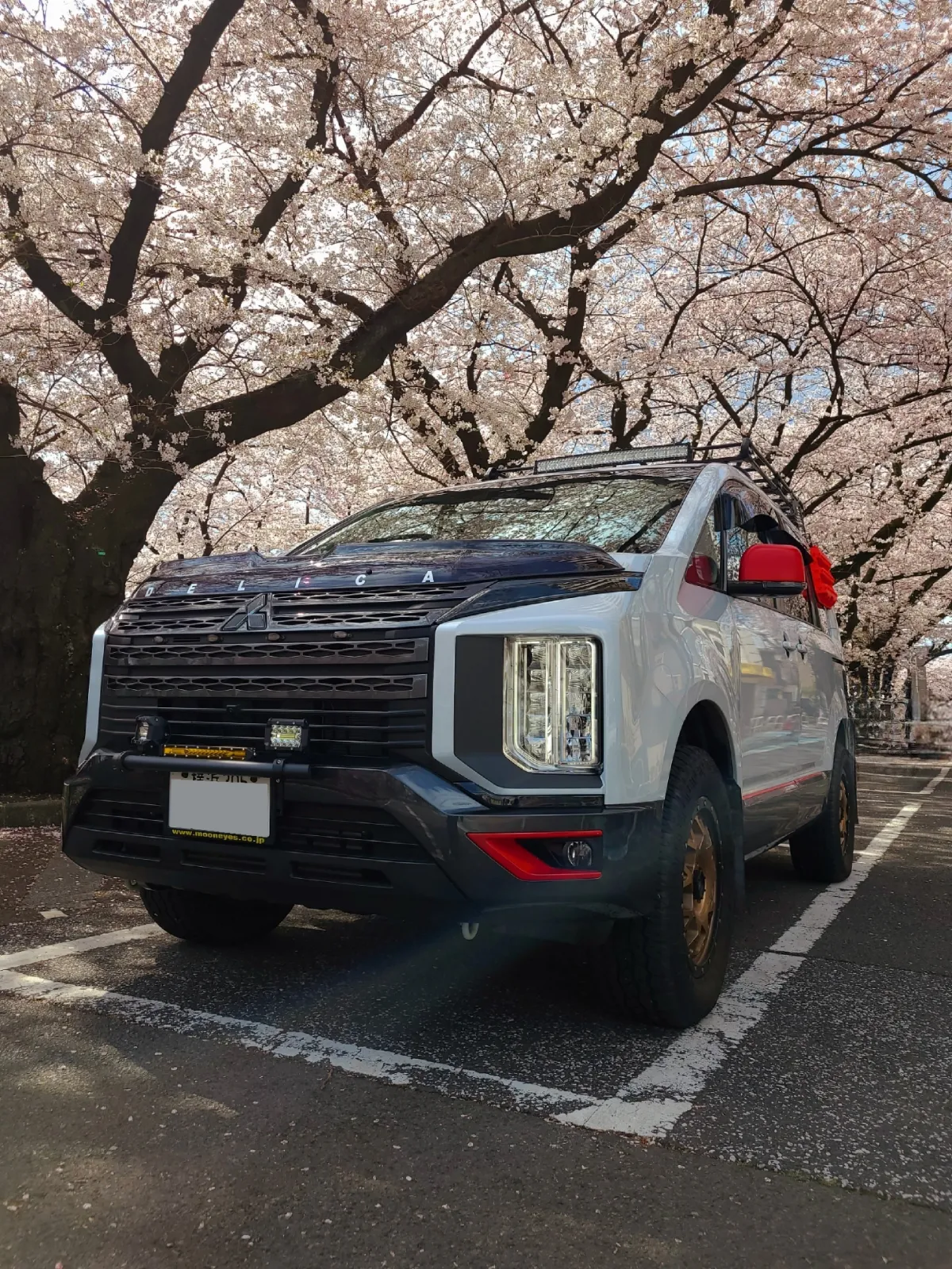 時期外れですが、今年撮った桜とのコラボ写真です(笑)