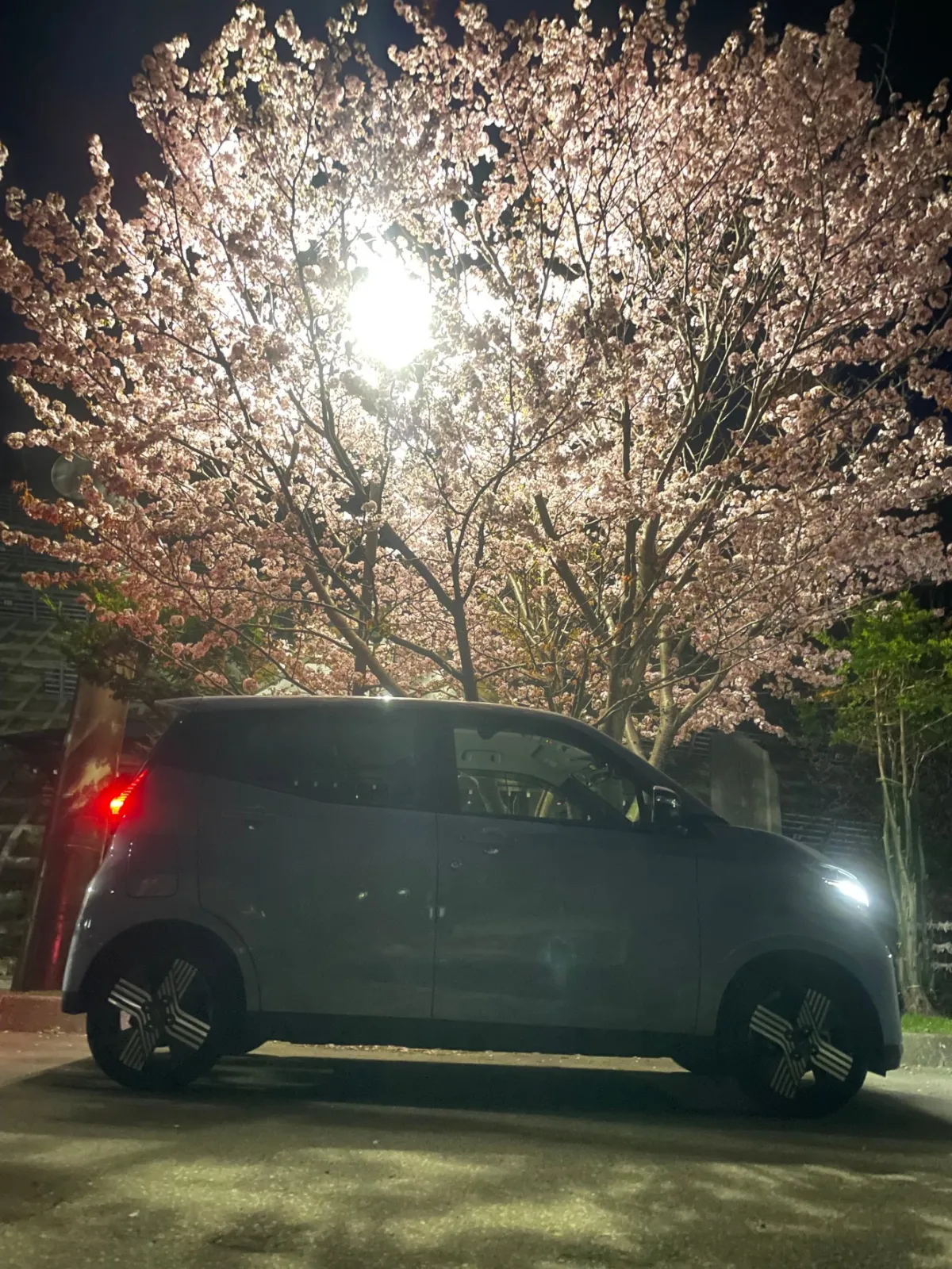 夜桜．．(｀ー´ゞ-☆