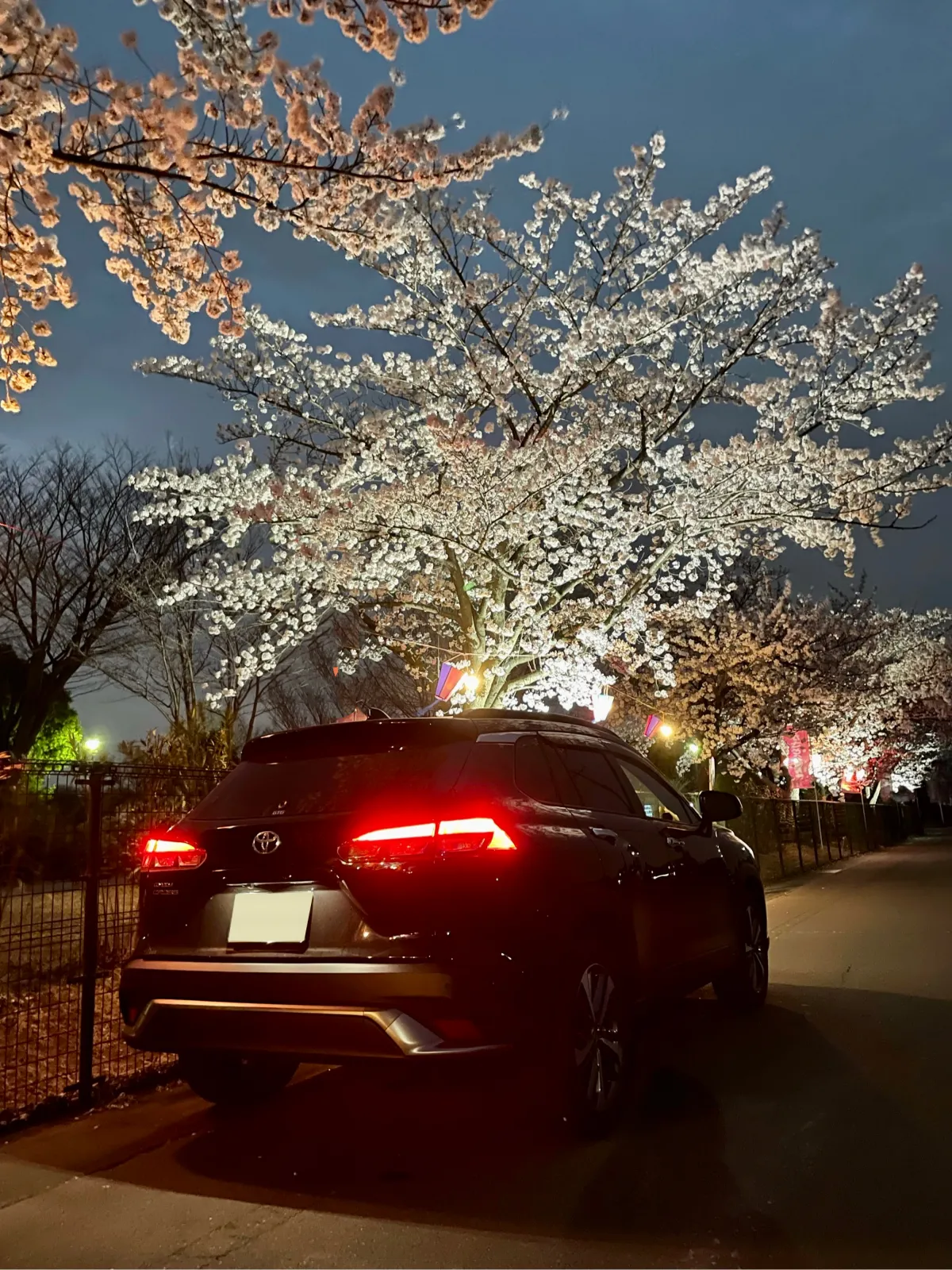 撮影日　2022/3/31
撮影場所　群馬県某所

納車後初の夜桜スポットに行ってまいりました。
洗車できていなかったのはご愛嬌
ちなみに雨降りでの撮影でした