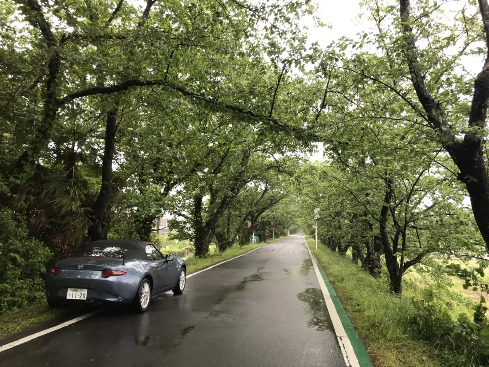 かなりローカルです。ここはどこ？