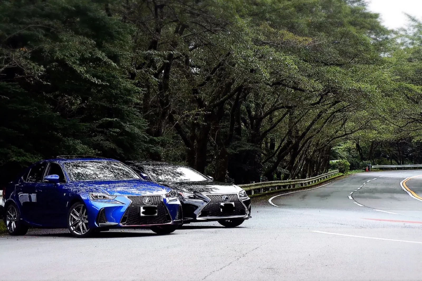 気持ちの良いワインディングが続くところ。
RCと一緒に。