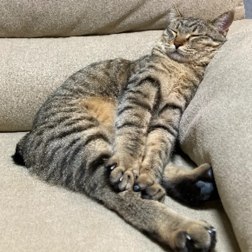 ひろ