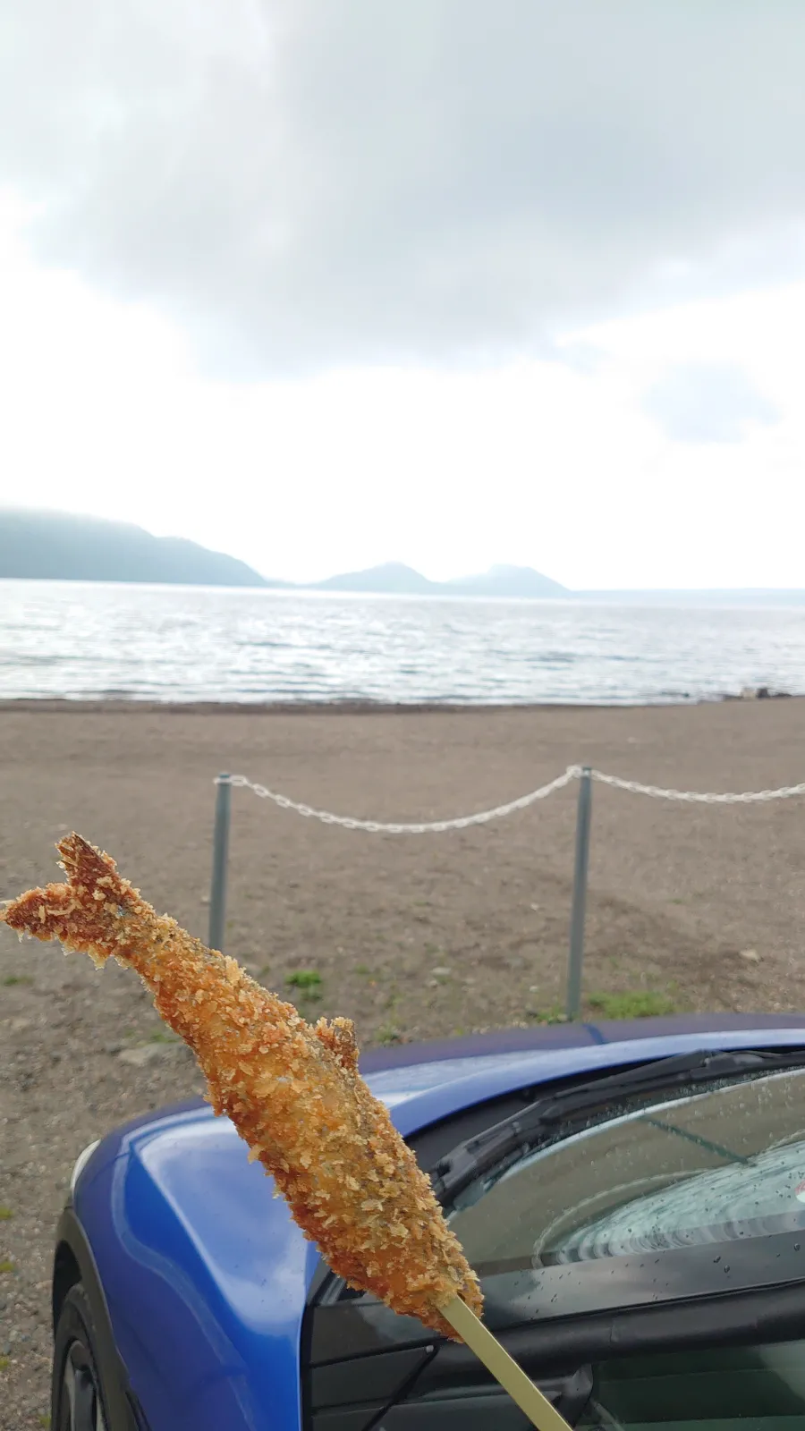 風の強い砂浜……