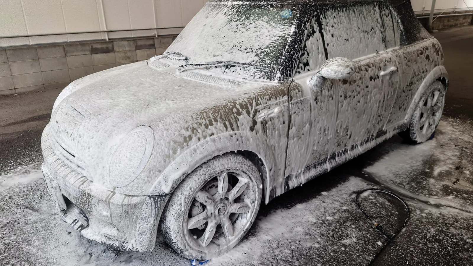 もう1台洗車
　
鉄粉落とし
泡洗車
　
前回洗った時にざらつきが感じられたのでどうしようかと思っていたら、MINI用に使っている簡易コーティングのペルシードに鉄粉、水アカ同時除去を謳っているシャンプーがあった。
　
「鉄粉、水アカ以外の汚れ「油汚れ」「虫」「鳥フン」「樹液」「黄砂」「ピッチ・タール」「イオンデポジット・軽いウォータースポット」「ブレーキダスト」「ドア傷汚れ」も同時に除去します。
コーティングの下地処理にも汚れ落としと脱脂効果でコーティングの下地処理にもおすすめです」
　
https://item.rakuten.co.jp/syatihoko/pcd-105/?s-id=ph_pc_itemname

使ってみたら鉄粉が取れた感じ(僅かに残っている気もするが)がする。
仕上げはペルシードのコーティング。