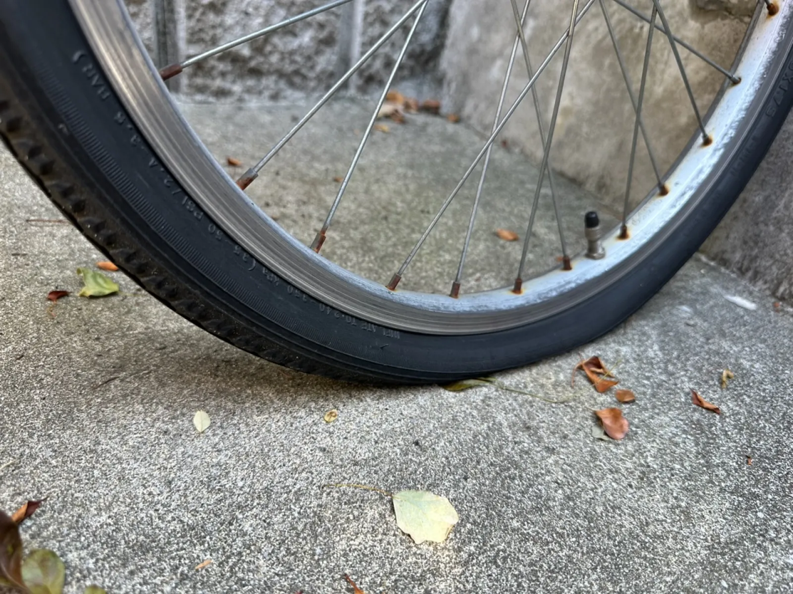 出かけようとしたら、自転車のタイヤがパンクしてました😓この暑い中駅まで歩くのか🚶‍♀️