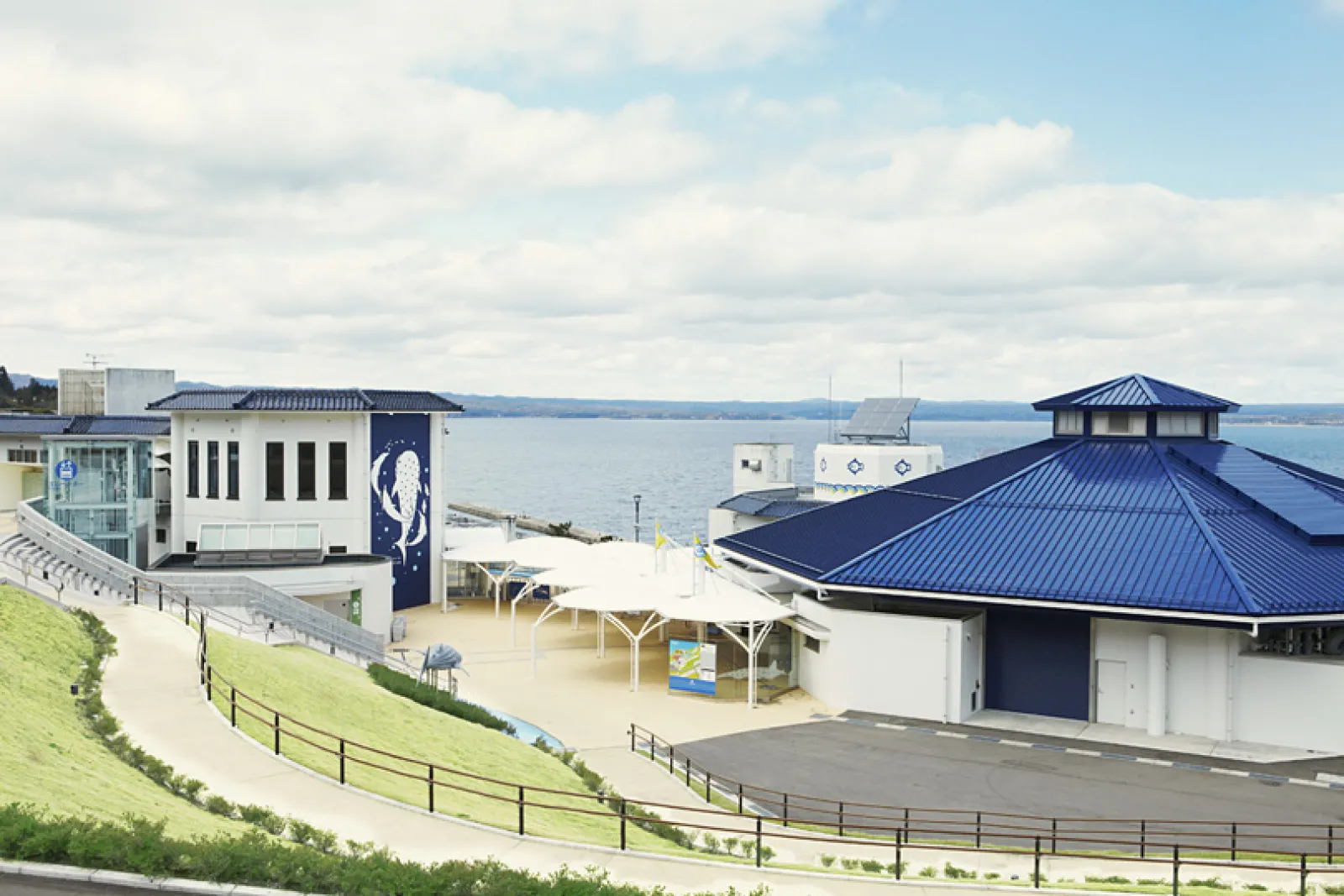 翌日は、のとじま水族館。目の前は日本海！