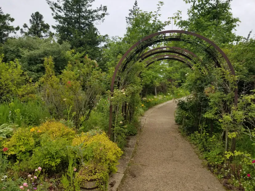 六甲山ドライブ