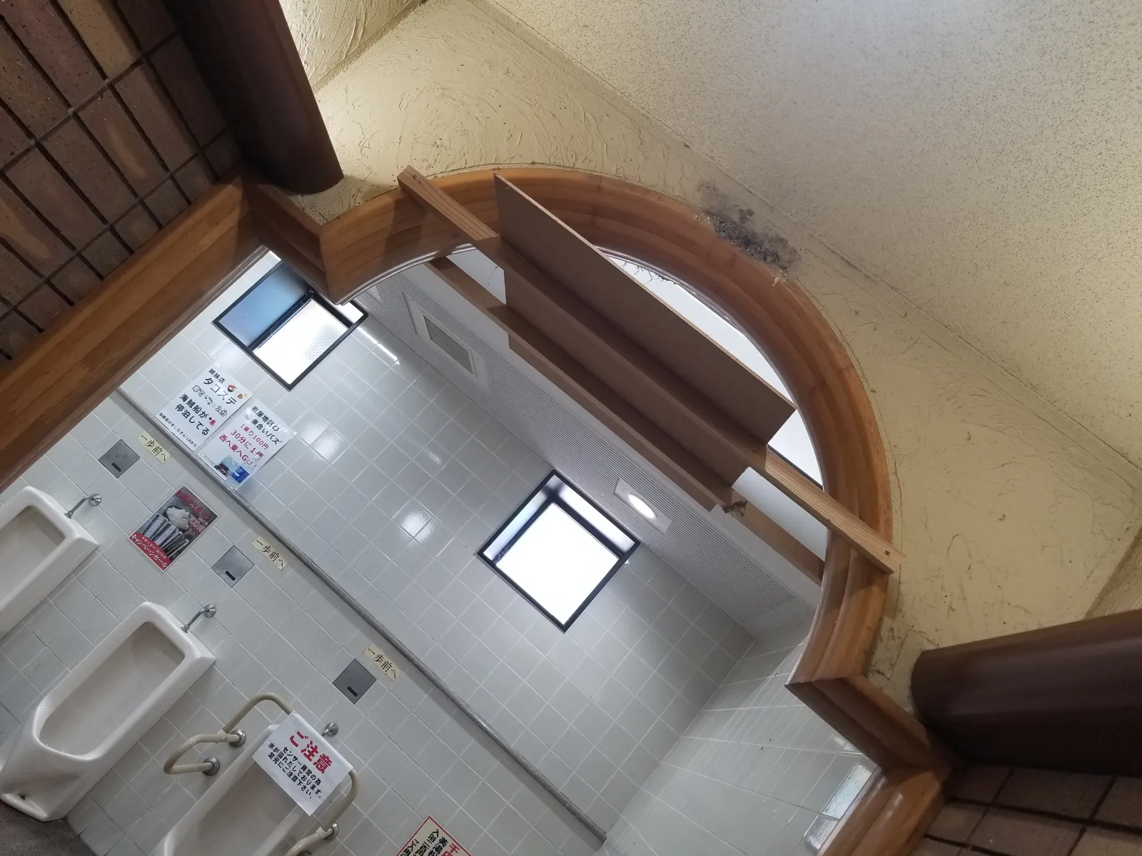 至る所にツバメの巣が・・・・30箇所以上あります。しかも赤ちゃん燕が2羽~3羽。親燕がしきりに餌を食べさせています。こういう場所は、鳥の糞が路面に溢れているのですが、ここは殆ど糞が見られません！しっかりとメンテナンスされていて、人と共存共栄していますね！