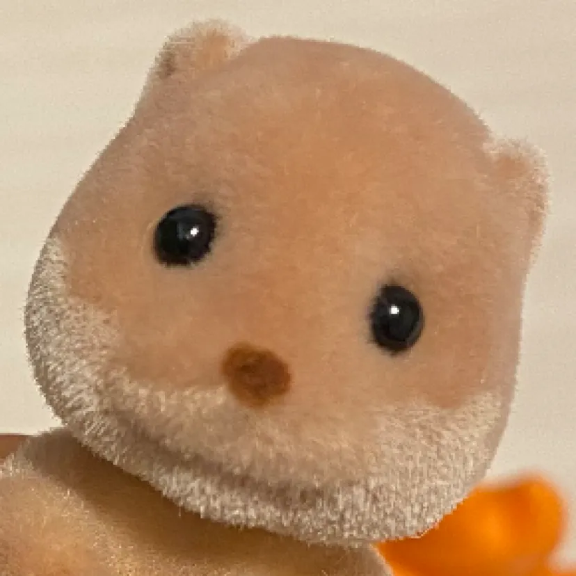 きど