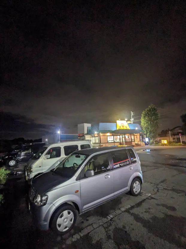 安いだけあるね。