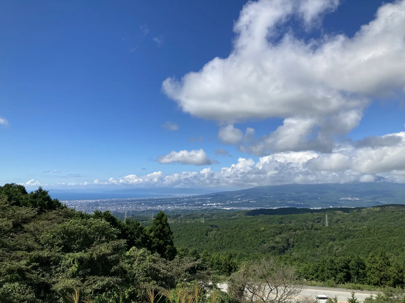 遠く、駿河の国が見渡せます。展望と地形でここを選んだのでしょう。水は大切なので、ため池を使って確保したそうで、いくつかあります。