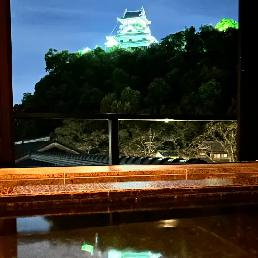 慕情