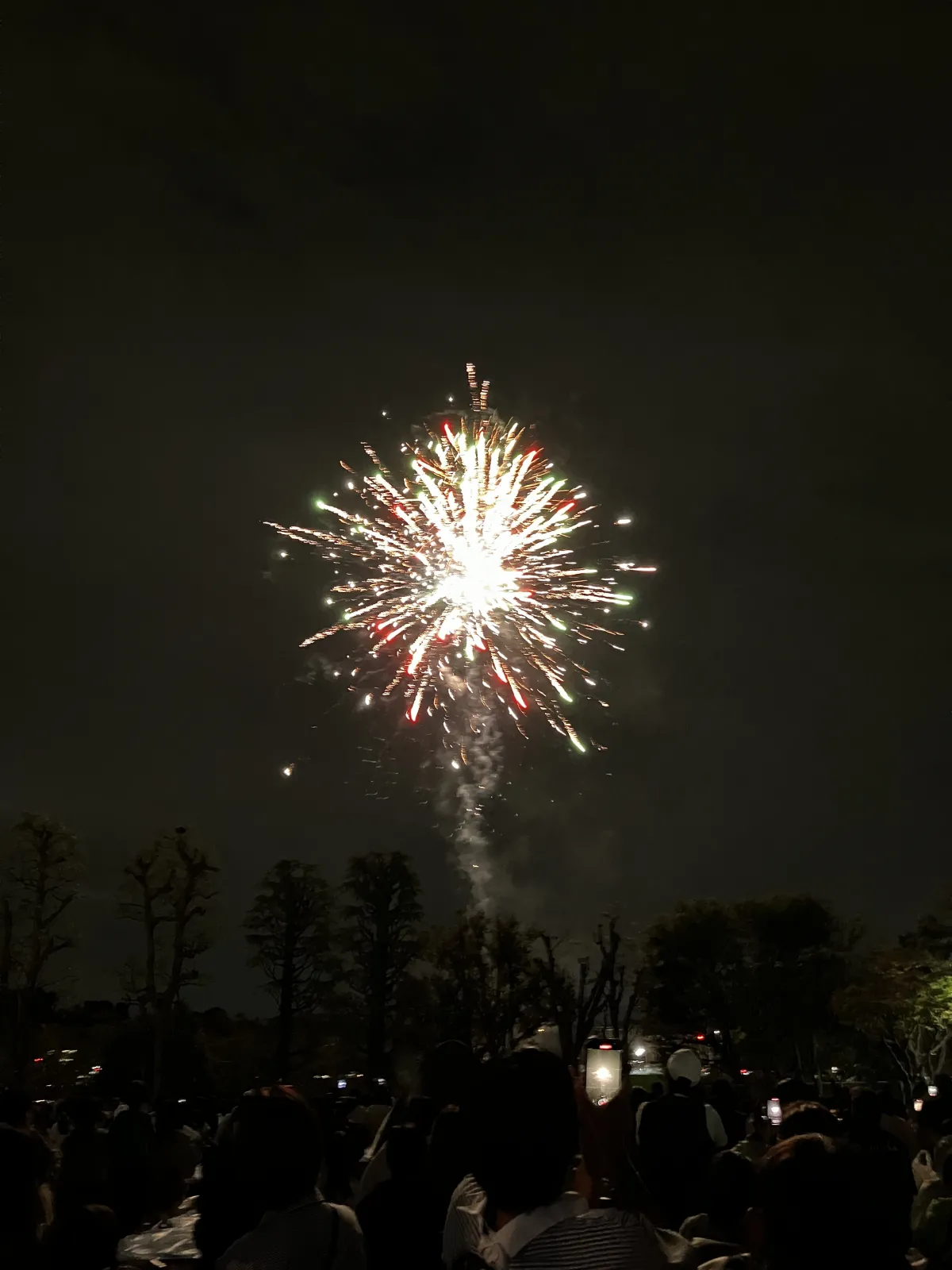 夜には地元で花火大会🎇🧨