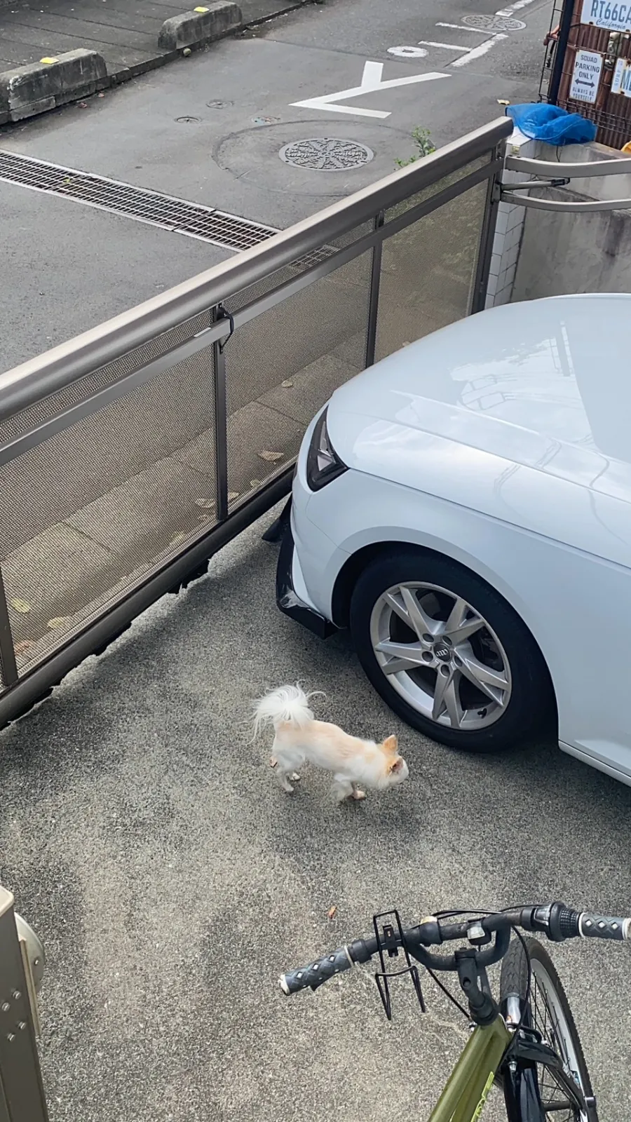 昨日と今日の二日間、ホイール探しの旅により全くお出かけ出来ていない娘さんがいじけてます。

明日は行きましょう！