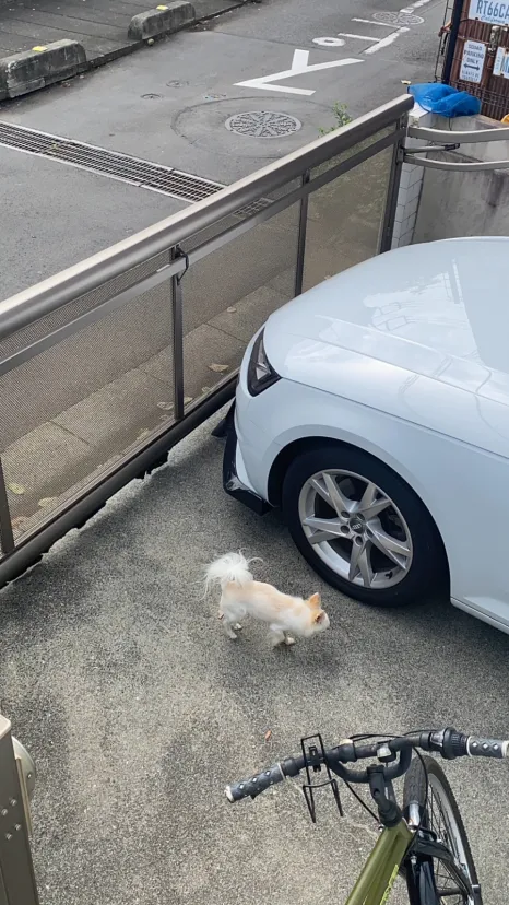 ホイール探しの旅終了