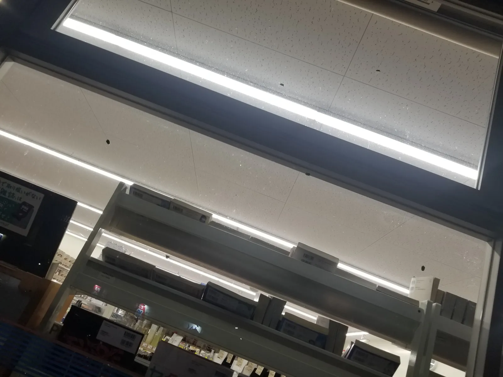 何気なく・・・ガラスを見ていると・・・
蠢く物体・・・しかも数十匹？？？(@_@)