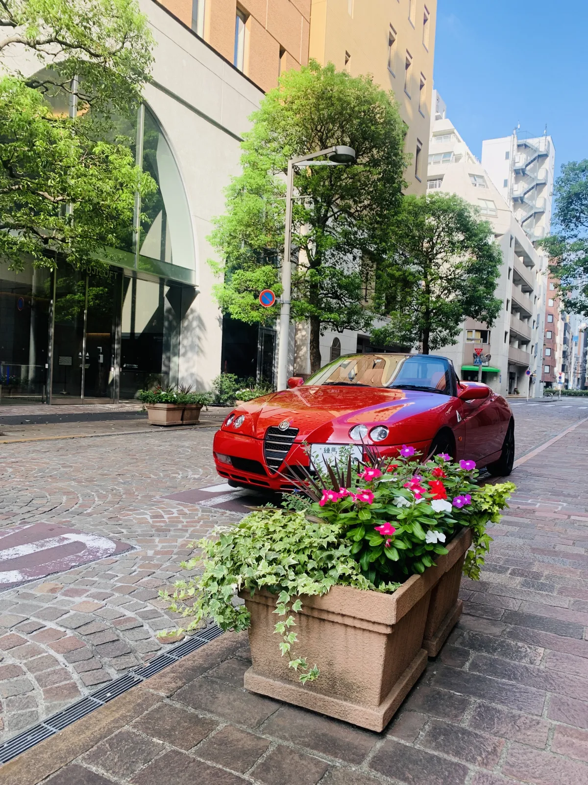 イタリア街の夏朝
